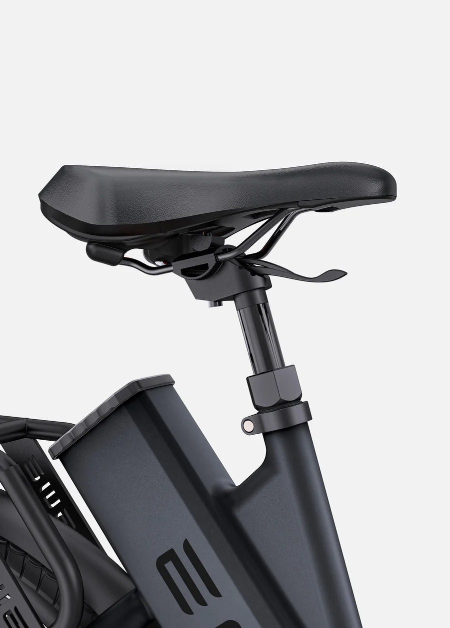 ENGWE Bicicletta Elettrica  P275 ST. Motore centrale Ananda da 250 W, coppia 70 Nm, bici elettrica urbana Step Thru