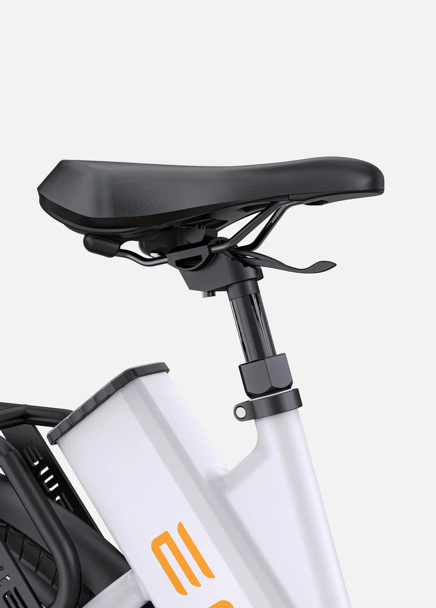 ENGWE Bicicletta Elettrica  P275 ST. Motore centrale Ananda da 250 W, coppia 70 Nm, bici elettrica urbana Step Thru