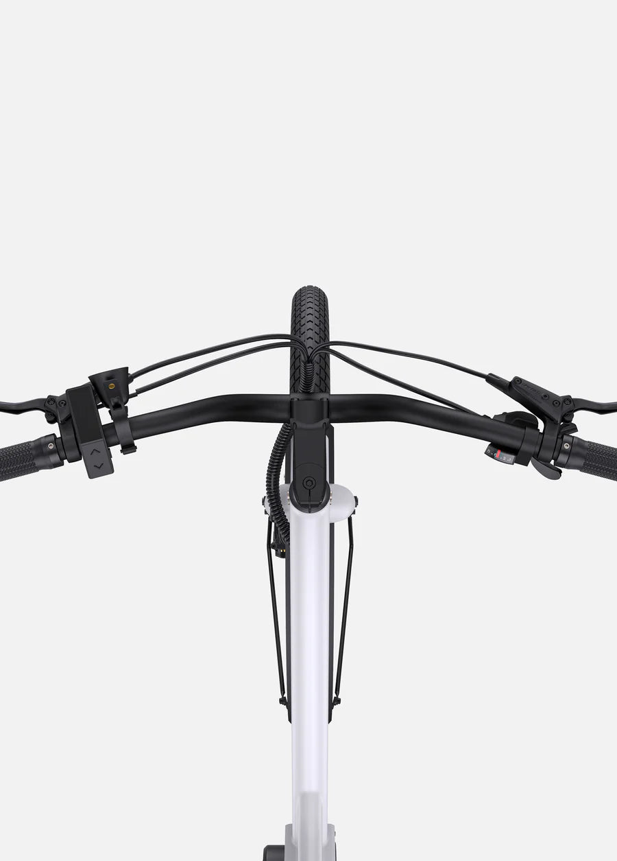 ENGWE Bicicletta Elettrica  P275 ST. Motore centrale Ananda da 250 W, coppia 70 Nm, bici elettrica urbana Step Thru