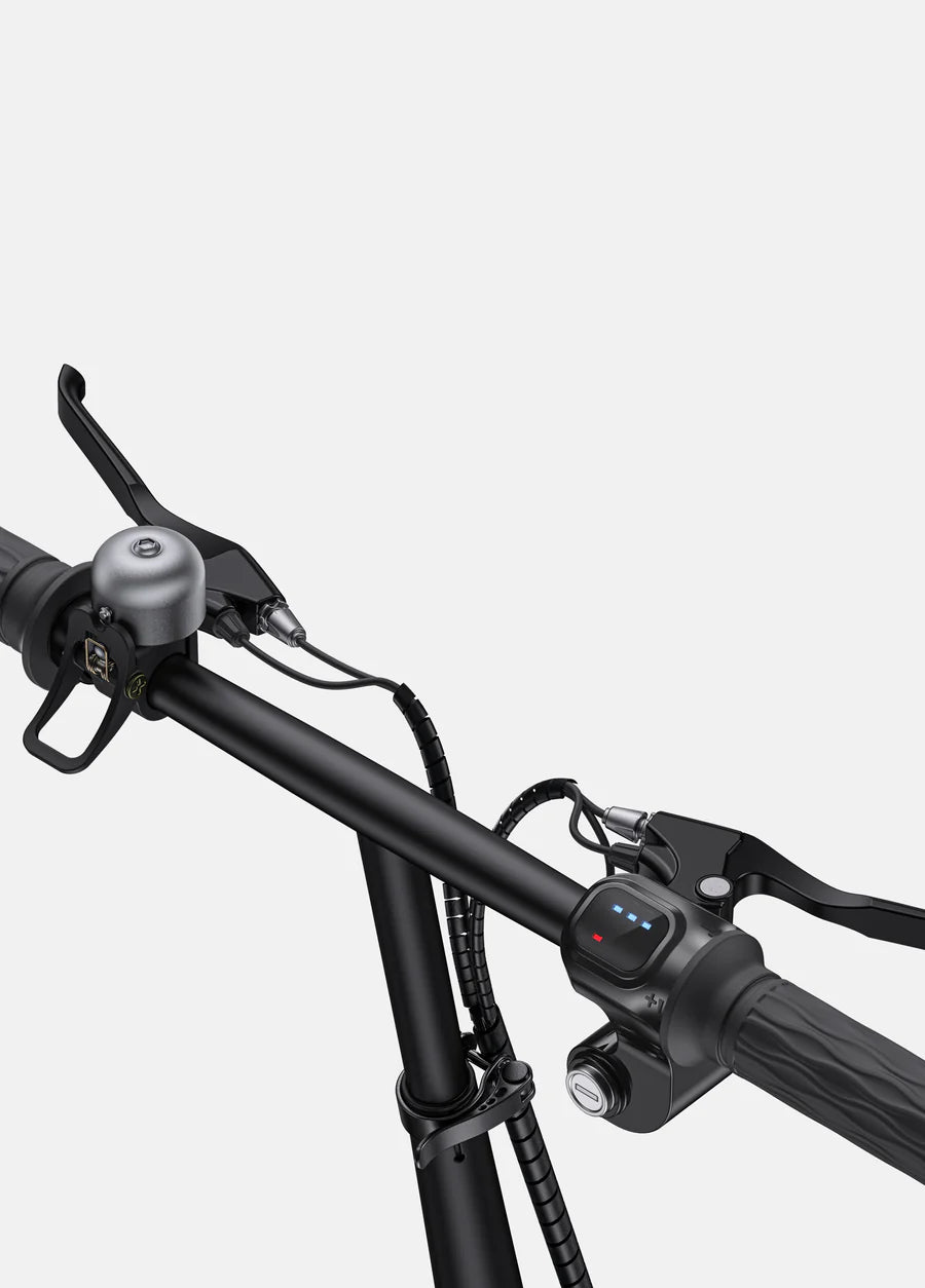 ENGWE Bicicletta Elettrica T14